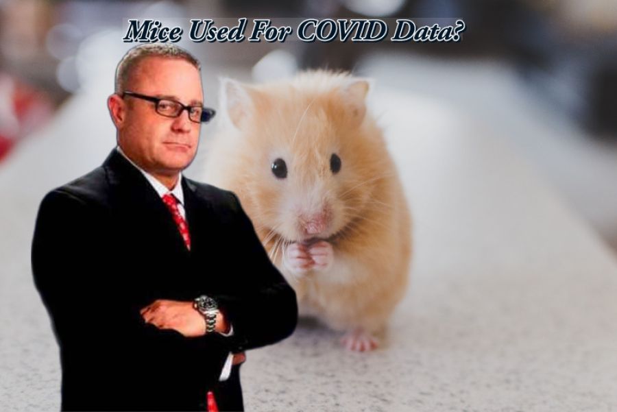 Cert Denied: Grand Princess COVID-19 Passenger Suit Dismissed By Judge?