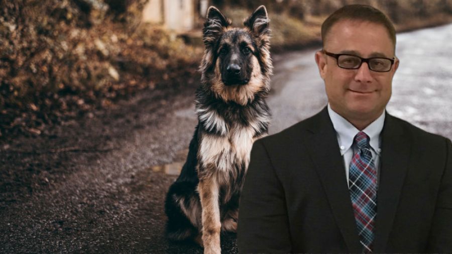 Unleashed Dog Attacks and Kills Another Dog and Bites a Person - Leash Laws