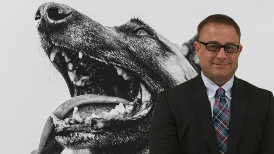 Dog Bites Police Officer, and Owner Tries to Save Dog