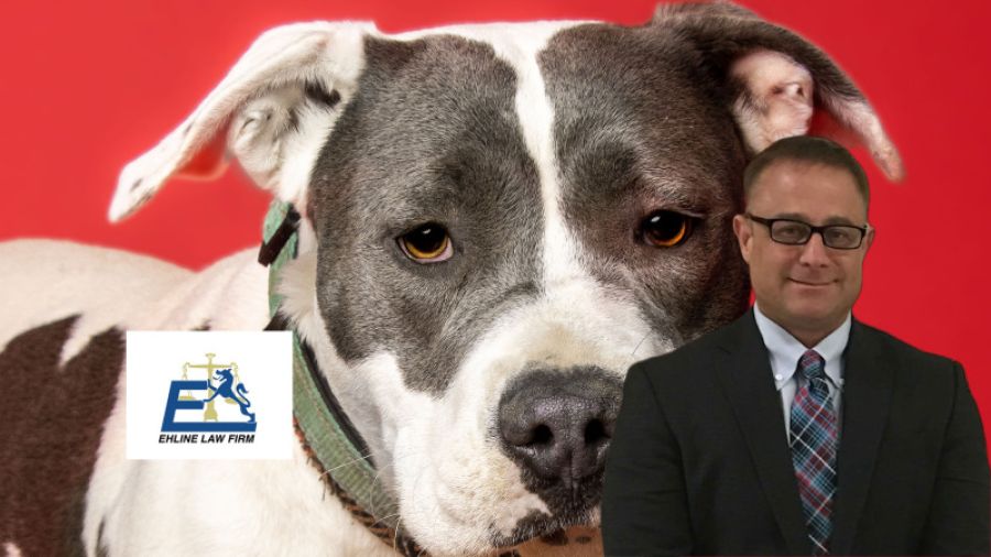 What are the Facts on the Devastating Texas Bus Crash