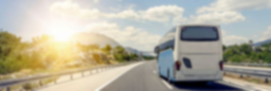 DeSantis Buses Illegals to Sanctuary States | Breaking News