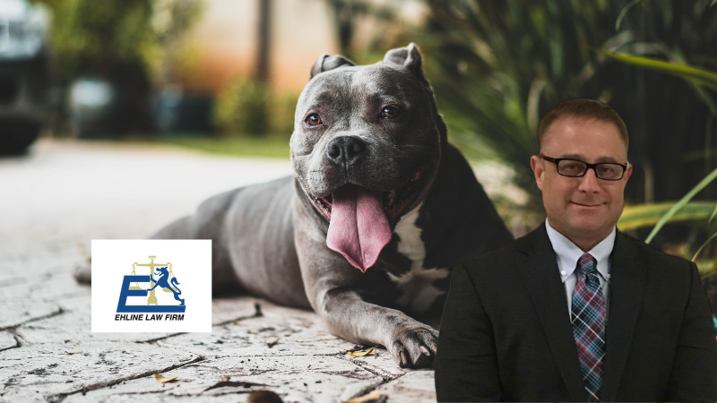 Horrific San Antonio Pit Bull Attack Causes Injuries and Death ...